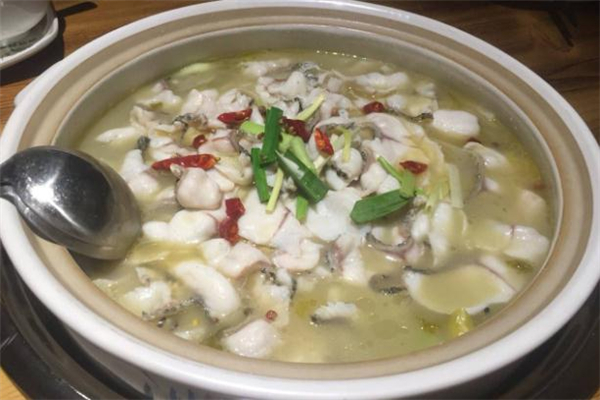 鲶鱼怎么挑选(鲶鱼怎么挑选)