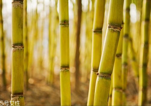 甘蔗煮水的作用(白萝卜甘蔗煮水的作用)