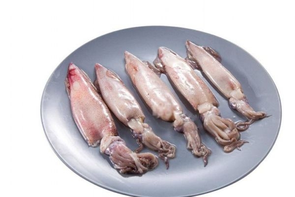 鱿鱼可以经常吃吗(鱿鱼可以经常吃吗)