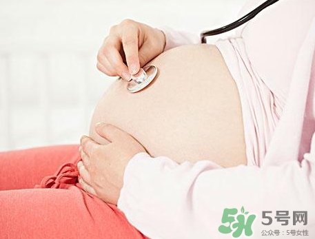 胎儿几个月能看出来男女性别,怀孕几个月能看男女性别