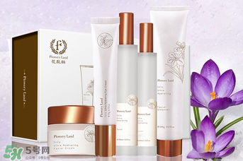 花肌粹护肤品孕妇可以用吗,花肌粹孕妇可以用吗 花肌粹护肤品孕妇可以用吗,花肌粹孕妇可以用吗