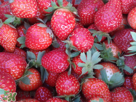 孕妇冬天可以吃草莓吗中期,怀孕期间可以吃草莓吗 孕妇冬天可以吃草莓吗中期,怀孕期间可以吃草莓吗