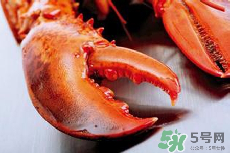 喝白酒能吃螃蟹吗?,吃螃蟹能喝酒吗能喝白酒吗 喝白酒能吃螃蟹吗?,吃螃蟹能喝酒吗能喝白酒吗