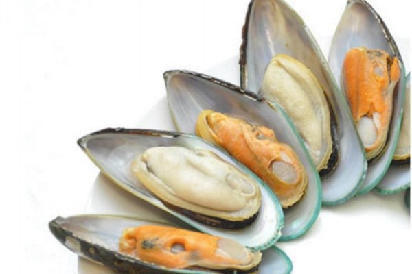 青口贝应该怎么吃呢(青口贝如何吃)