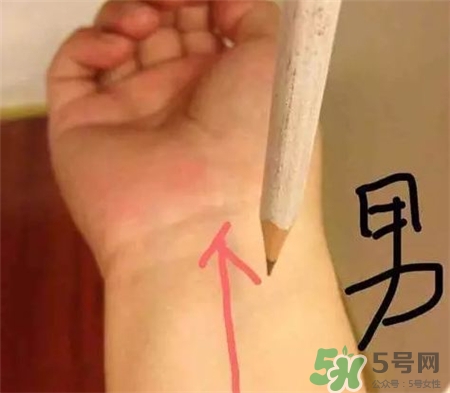 铅笔测试胎儿性别方法准确吗?,怀孕用针铅笔测试男女准吗