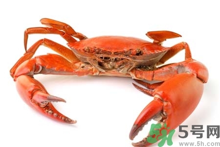 怀孕初期能吃螃蟹吗?,怀孕能吃螃蟹吗前三个月