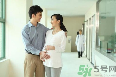 如果怀孕了会来月经吗,怀孕的那个月还会来月经吗 如果怀孕了会来月经吗,怀孕的那个月还会来月经吗