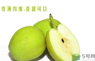 孕妇可以吃香梨吗早期,孕妇可以吃香梨吗?