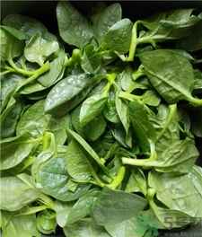 孕妇可以吃木耳菜吗,孕初期能吃木耳菜吗