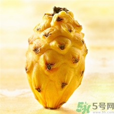 孕妇可以吃麒麟果么,哺乳期可以吃麒麟果吗