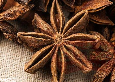 八角怎么采收(八角怎么采收) 八角怎么采收(八角怎么采收)