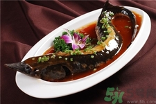 孕妇能吃中华鲟吗,孕妇能吃鲟吗