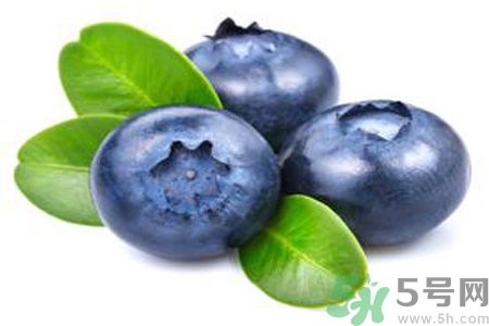 孕妇可以吃蓝莓吗?孕早期,孕妇可以吃蓝莓吗?
