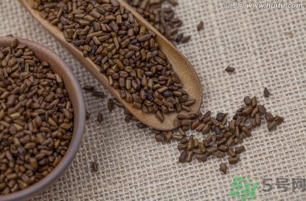 孕妇能喝决明子茶吗?,孕早期可以喝决明子茶吗