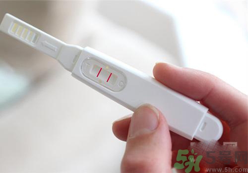 验孕棒测怀孕的原理是什么,验孕棒是什么原理