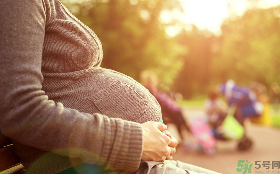 怀孕期间可以吃冬瓜吗,怀孕初期可以吃冬瓜吗?