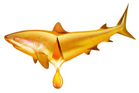 怀孕初期补充DHA吃什么,怀孕初期补充DHA会引起胚胎生化 怀孕初期补充DHA吃什么,怀孕初期补充DHA会引起胚胎生化