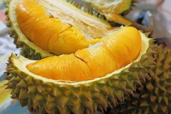 fancl毛孔收缩精华保质期(fancl毛孔收缩精华怎么样)