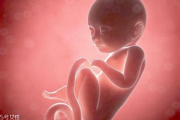 炸藕盒的家常做法(炸藕盒的家常做法窍门)