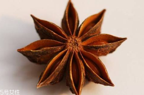 八角和什么搭配好(好八角怎么选)