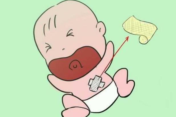 雪菊有什么功效(雪菊有什么功效和作用)