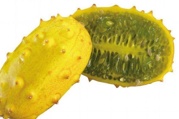 孕妇吃刺角瓜有什么注意的呢(孕妇可以吃刺角瓜吗) 孕妇吃刺角瓜有什么注意的呢(孕妇可以吃刺角瓜吗)