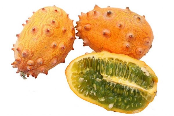 刺角瓜多少钱一斤呢(现在角瓜多少钱一斤)