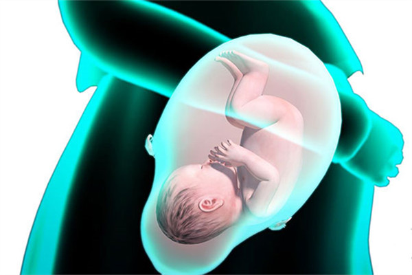 什么时候会感觉胎动,什么时候会感受到胎动