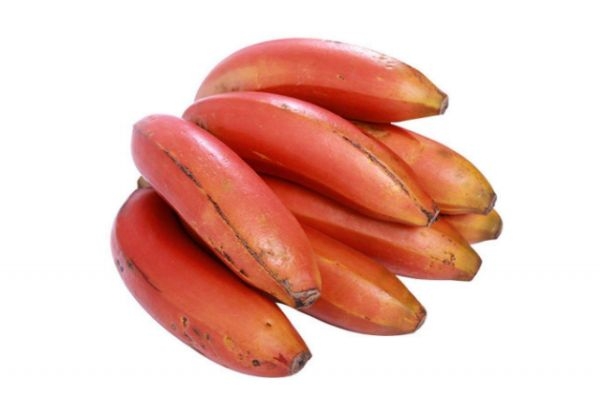 红香蕉和普通香蕉有什么区别吗(红香蕉和普通香蕉口感区别)