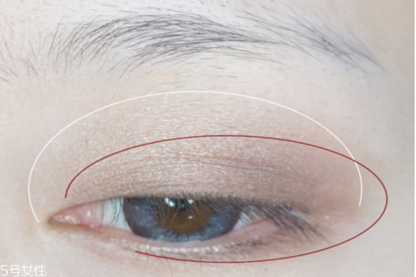 皮肤暗黄怎么调理能变白(脸部皮肤暗黄怎么改善变白)