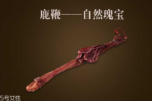 鹿鞭的保存方法(鹿鞭的保存方法)