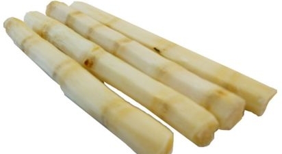 甘蔗的好处和坏处(甘蔗都有什么功效和作用) 甘蔗的好处和坏处(甘蔗都有什么功效和作用)