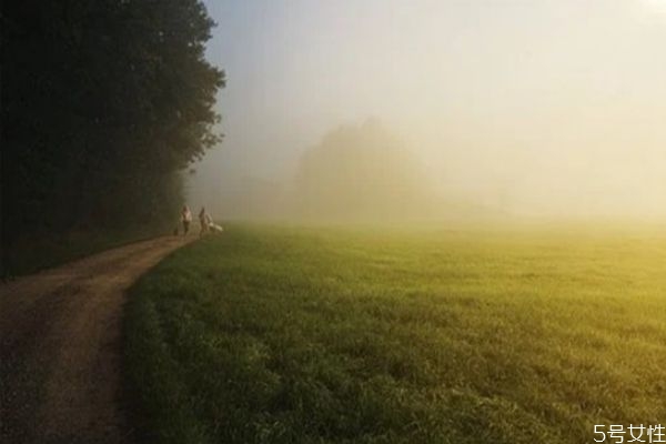 为什么中国的原生家庭这么喜欢PUA(原生家庭为什么不好)