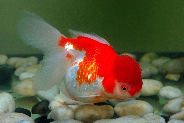 哪个星座最记仇(哪个星座最记仇?)