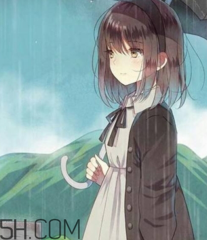 怂是什么意思(怂是什么意思情话)