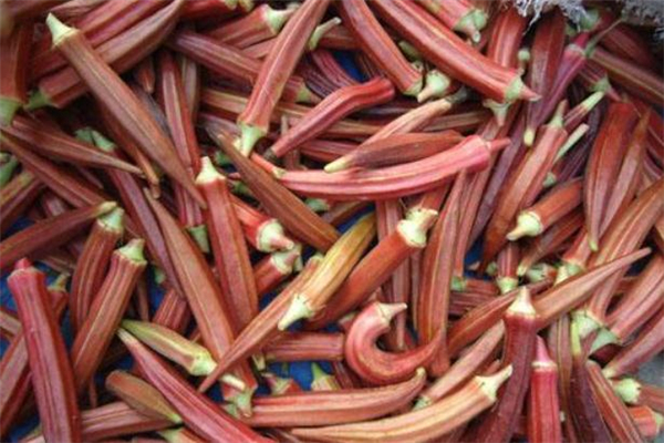 孕妇可以吃红秋葵吗?,孕妇能否吃秋葵