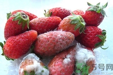 水果发霉了可以吃吗,水果发霉了还能吃吗