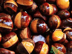 减肥吃糖炒栗子会不会胖,晚上吃糖炒栗子会发胖吗 减肥吃糖炒栗子会不会胖,晚上吃糖炒栗子会发胖吗