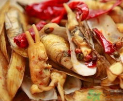 活蛏子怎么保存过夜,活蛏子怎么保存