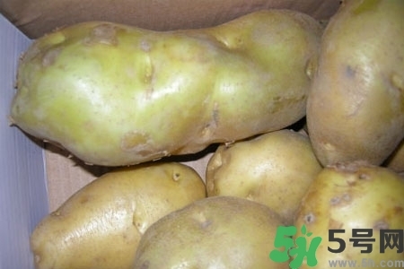 土豆发绿还能吃吗最佳答案,土豆发绿还能吃吗?