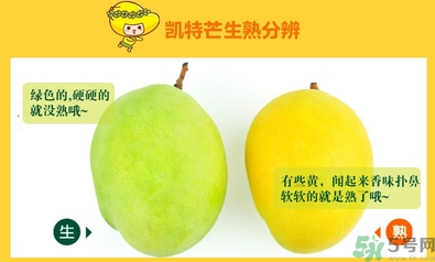 凯特芒果怎样才算熟,凯特芒果硬的能直接吃吗