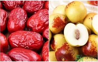 冬枣和红枣有什么区别,红枣和冬枣一样吗