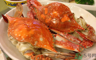 关于梭子蟹的资料,关于梭子蟹的介绍