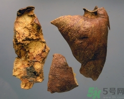 石榴皮的功效和作用及禁忌的功效和作用,石榴皮的功效和作用,石榴皮的副作用