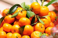 橘子吃了的好处,柑橘怎么吃最好吃 橘子吃了的好处,柑橘怎么吃最好吃