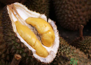 榴莲的营养价值和食用功效,榴莲有什么营养和功效 榴莲的营养价值和食用功效,榴莲有什么营养和功效