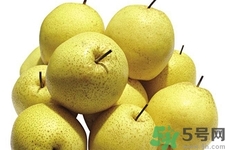 梨子是寒性水果吗?,梨子是热性还是凉性的水果