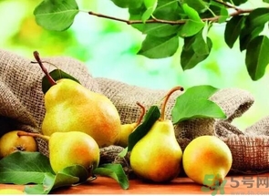 减肥的时候可以吃梨吗,晚上吃梨会胖吗能减肥吗