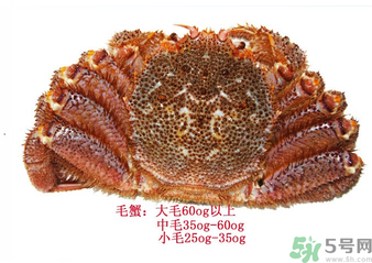 毛蟹的营养和作用,大闸蟹有什么营养价值