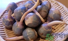 山慈姑有什么功效和作用,慈姑吃法和作用 山慈姑有什么功效和作用,慈姑吃法和作用